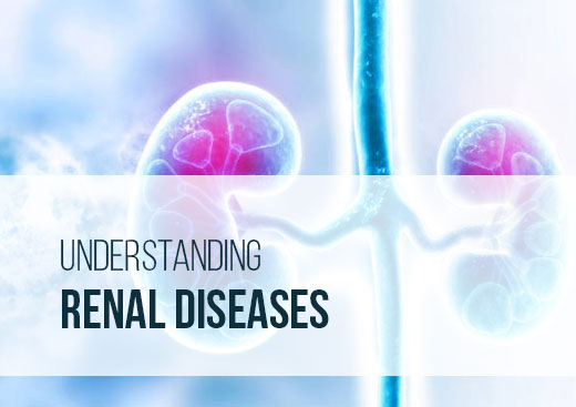 Understanding Renal Disease